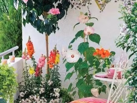 recherche location appartement