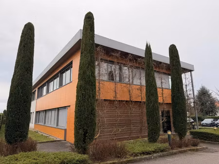 local professionnel à vendre sainte foy les lyon 10 pièce(s) 190m2 434 000€