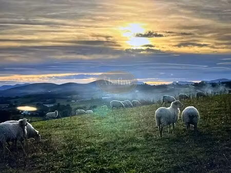 propriété pays basque piscine