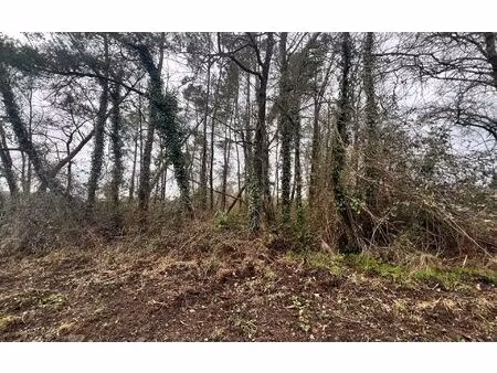 terrain romorantin-lanthenay m² t- à vendre  23 500 €