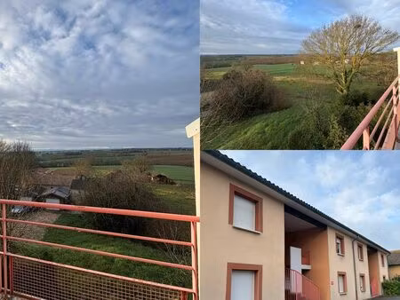 appartement t3 à louer monbrun