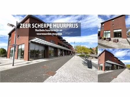 surface commerciale à louer à kloosterbempden 12 maaseik (rbv29670)