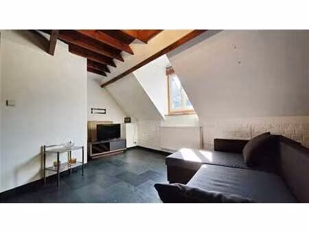 superbe duplex avec une charmante terrasse