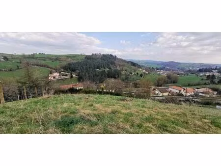 achat : terrain (42330)