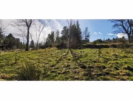 achat : terrain (42560)