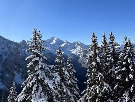 vente appartement 4 pièces 93 m² à manigod (74230)  740 000 €