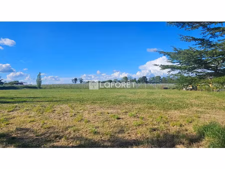 vente terrain 3740 m² à eauze (32800)  35 000 €