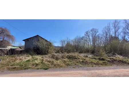 vente terrain 1057 m² à saint-leonard (88650)  31 000 €