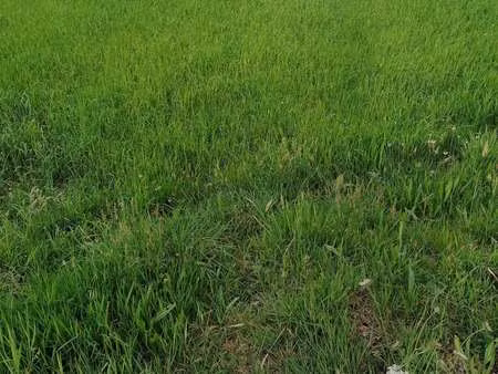 vente terrain à inzinzac-lochrist (56650) : à vendre / inzinzac-lochrist