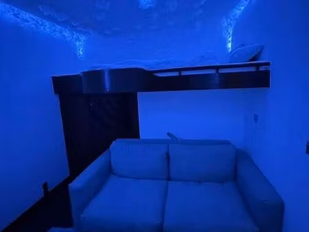 location appartement 1 pièce 20 m² à arcueil (94110)