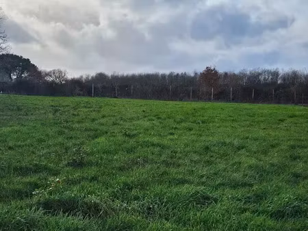vente terrain 3430 m² à bignay (17400)  77 500 €