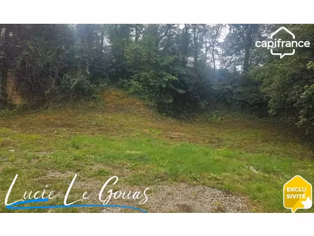 vente terrain 595 m² à longuyon (54260)  44 000 €