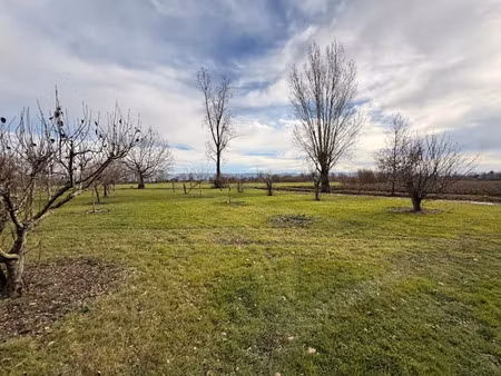 vente terrain 2106 m² à poudis (81700)  68 000 €