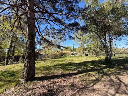 vente terrain 800 m² à saint-selve (33650)  174 000 €