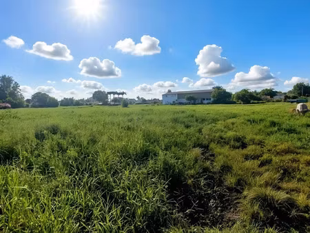 vente terrain 3441 m² à sainte anne (97180)  285 600 €