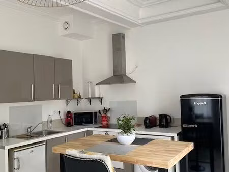 exclusivité t2 meublé à neuf avec terrasse et parc : une perle rare quai clémenceau