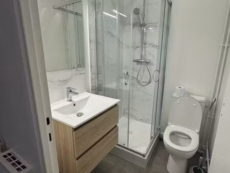 appartement rénové centre tours