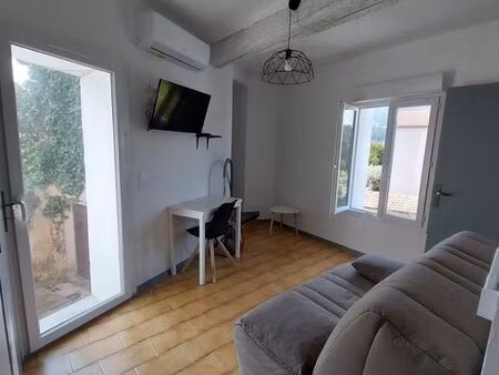 beau t1 bis meublé rénové avec terrasse