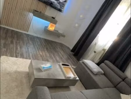 appartement a loué saint chamond rdc