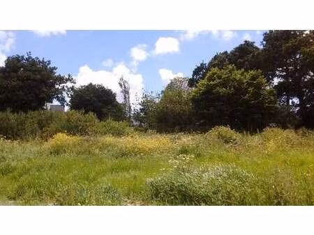 vente terrain à plougonvelin (29217) : à vendre / plougonvelin