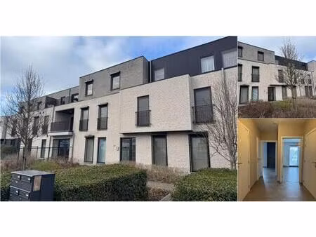 appartement à louer à mechelsesteenweg 36b heist-op-den-berg (rbv29739)