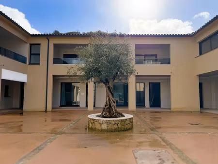 vente locaux professionnels 1 pièce 44 m² à grosseto-prugna (20128)  223 639 €