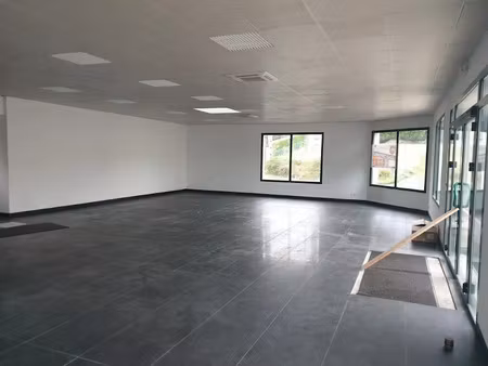 vente locaux professionnels 368 m² à aixe-sur-vienne (87700)  274 000 €