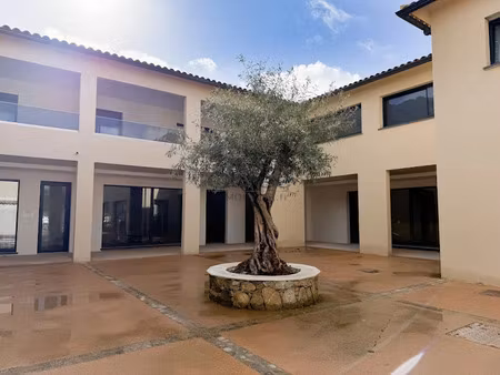 vente locaux professionnels 1 pièce 57 m² à grosseto-prugna (20128)  271 575 €