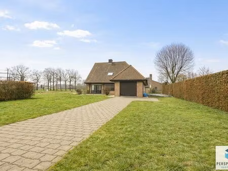 maison à vendre à oedelem € 448.000 (ll5xa) - perspectief vastgoed | zimmo