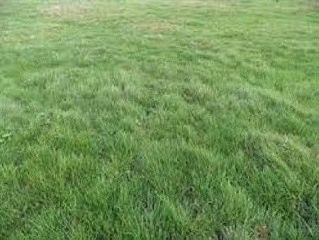 vente terrain 592 m² à villecresnes (94440)  228 000 €