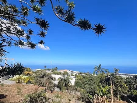 vente terrain 776 m² à le guillaume (97423)  280 000 €