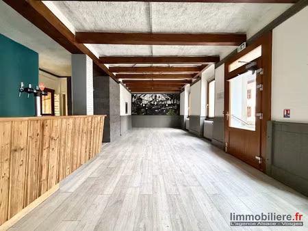 vente immeuble 248 m² à sainte-croix-aux-mines (68160)  139 000 €