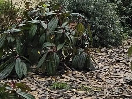 a vendre - vannes centre - local commercial de 112 m² environ