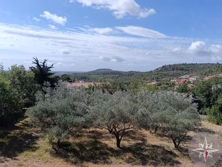 terrain constructible