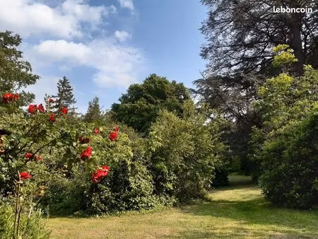 appartement 3 pièces 73m2 en centre ville