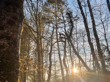 recherche grange à louer