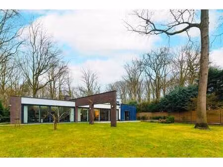 lumière et espace dans une villa architecturale