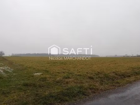 safti marchandot nicolas conseiller indépendant