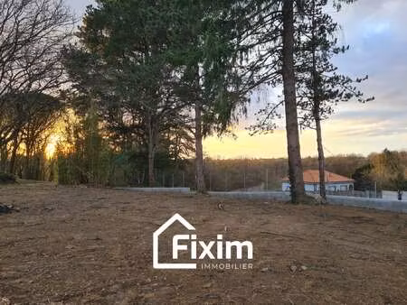 vente terrain au pallet (44330) : à vendre / le pallet