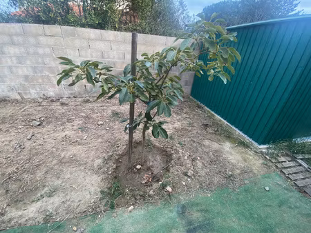 le soler villa f3 a louer