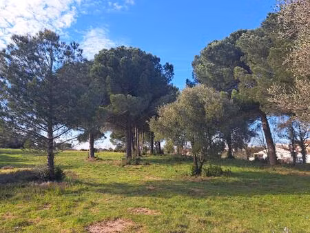 vente terrain à construire 1012 m² le muy (83490)