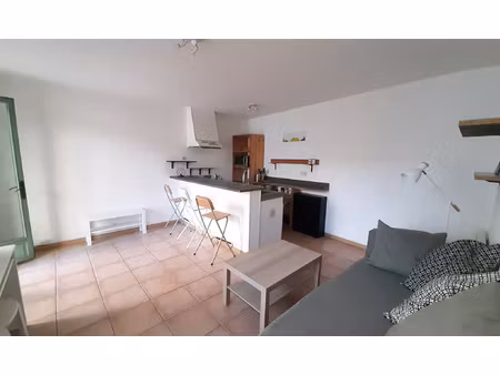 t2 meublé bordeaux - grande terrasse