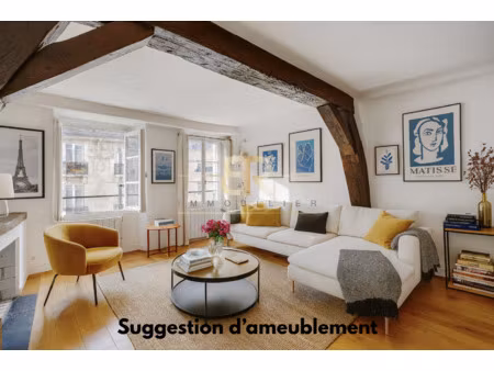 terrasse / sectorisation henri iv / loft