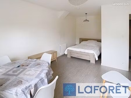 studio 1 pièce 33 m²