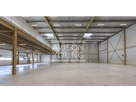 local d'activite a louer