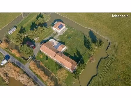 corps de ferme rénové pour élevage canin - 10 chiens  sud vendée  longère en pierre 1797