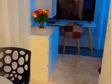 studio 1 pièce 19 m²