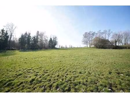 magifique terrain de 2290m² (largeur façade 44m)