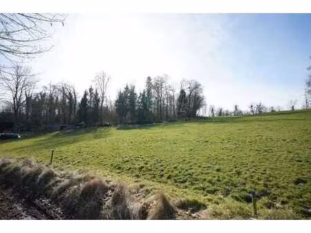 magifique terrain de 2589m² (largeur façade 41m)