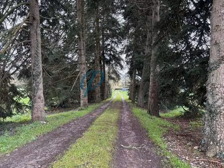 vente terrain à sucé-sur-erdre (44240) : à vendre / sucé-sur-erdre